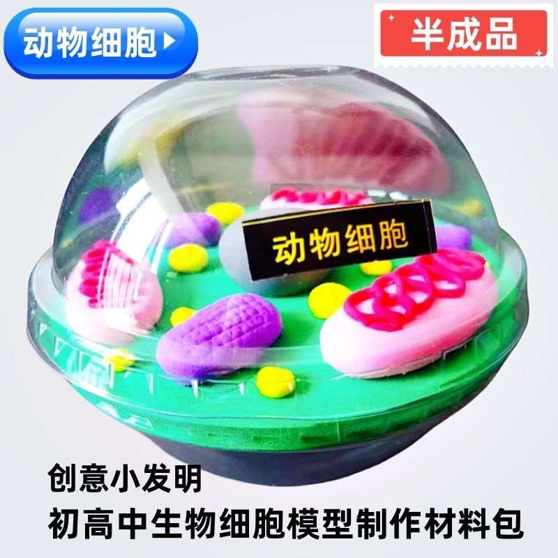 探索生命微观世界 科睿才动物细胞亚显微结构模型在教学中的应用与价值