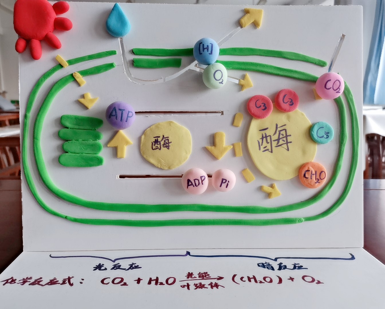 关于参加生命科学学院师范生“慧心巧思”教具设计与制作大赛的通知