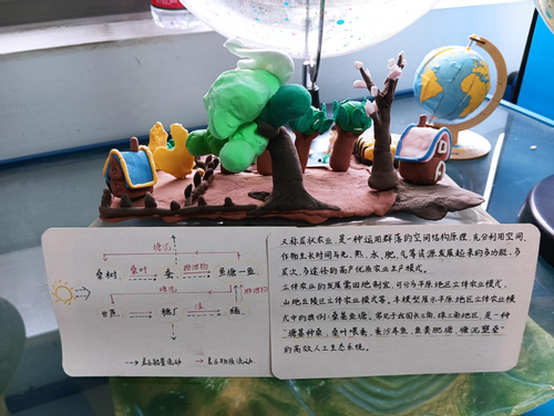 让地理教学更“鲜活”！地理师范生的教具与模型创意实践与教学用模型及教具销售