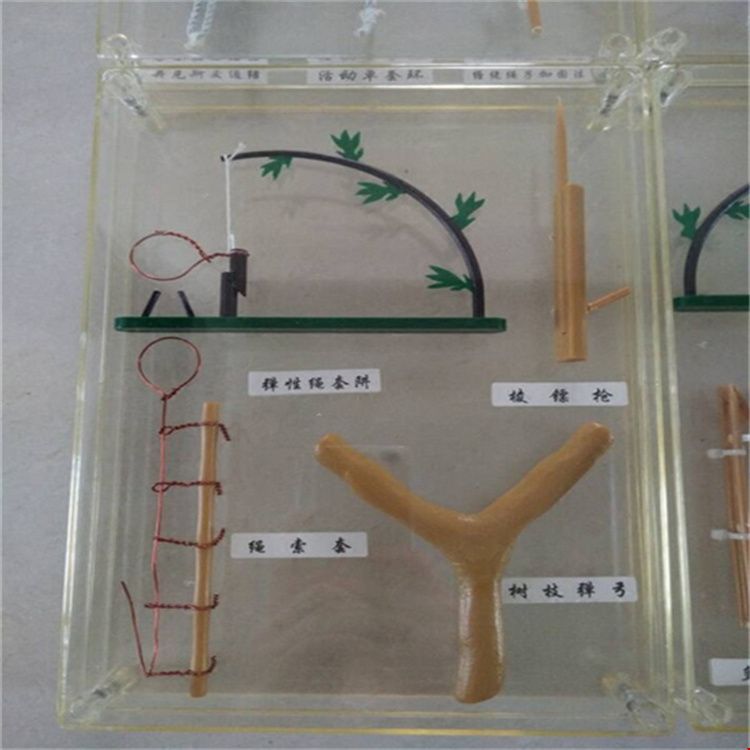 野外指挥作业箱与野外生存教具箱 新标准下的教学利器